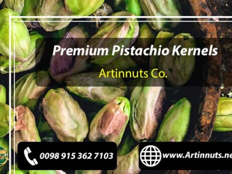Premium Pistachio Kernels