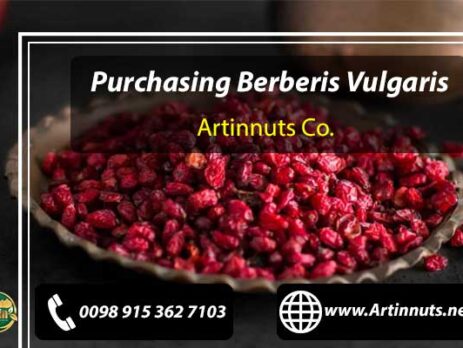 Purchasing Berberis Vulgaris