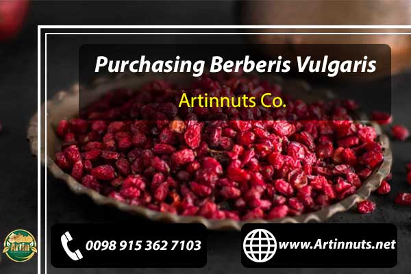 Purchasing Berberis Vulgaris