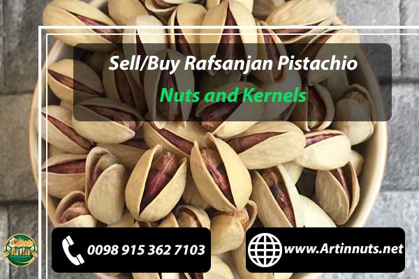 Rafsanjan Pistachio Nuts