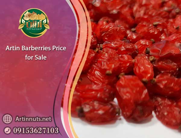 Artin Barberries Price