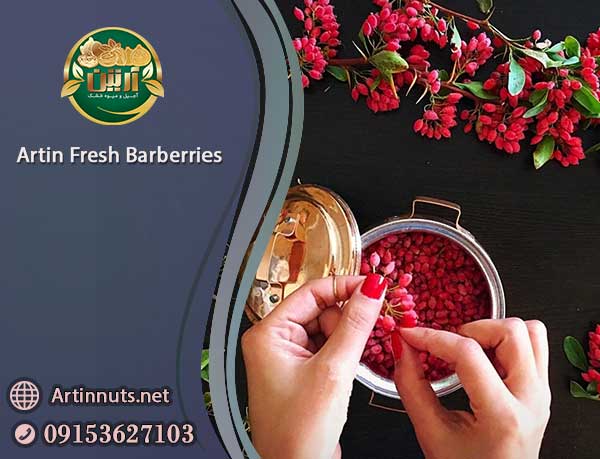 Artin Fresh Barberries