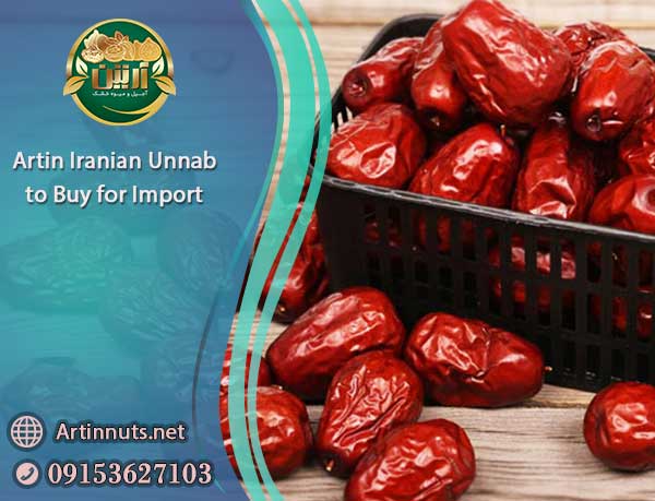 Artin Iranian Unnab