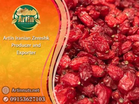 Artin Iranian Zereshk