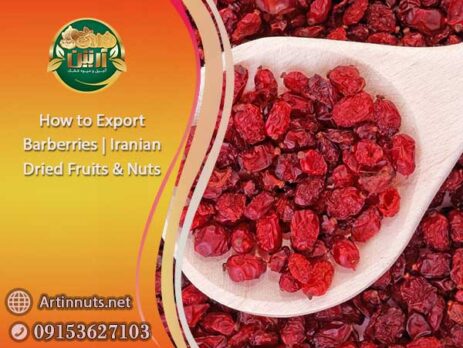 How to Export Barberries