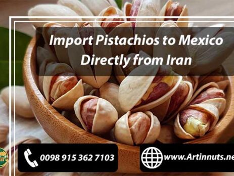 Import Pistachios to Mexico
