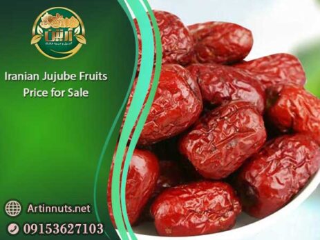 Jujube Fruits Price