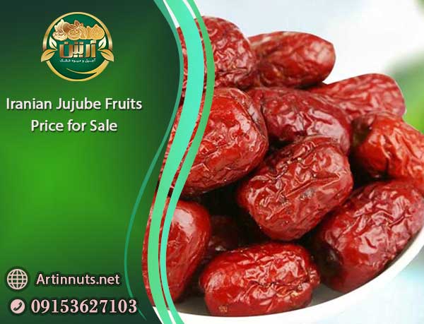Jujube Fruits Price