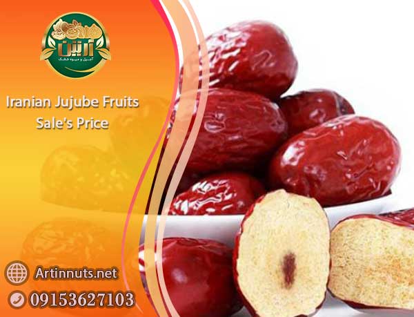 Jujube Fruits Price
