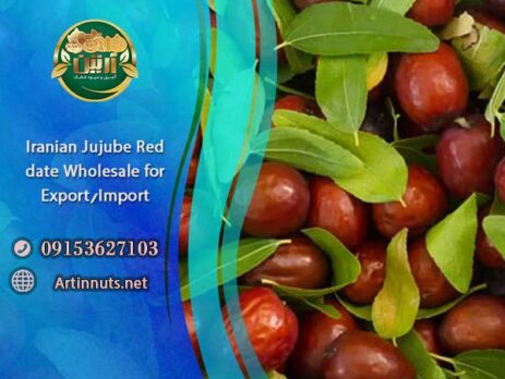 Jujube Red date Wholesale