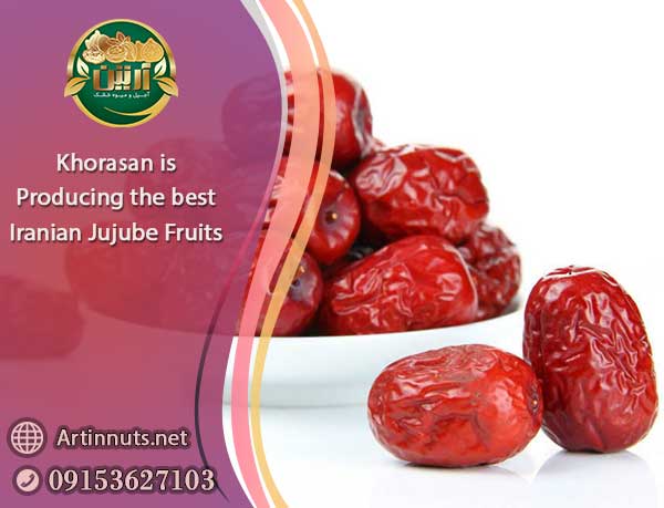 Iranian Jujube Fruits