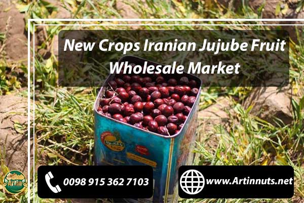 New Crops Jujube Fruit