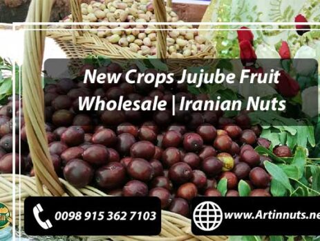 New Crops Jujube Fruit