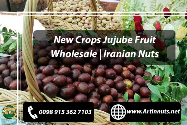 New Crops Jujube Fruit