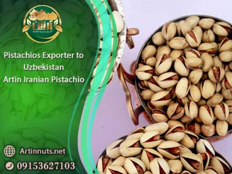 Pistachios Exporter to Uzbekistan