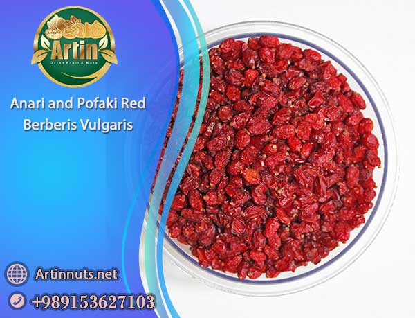 Red Berberis Vulgaris
