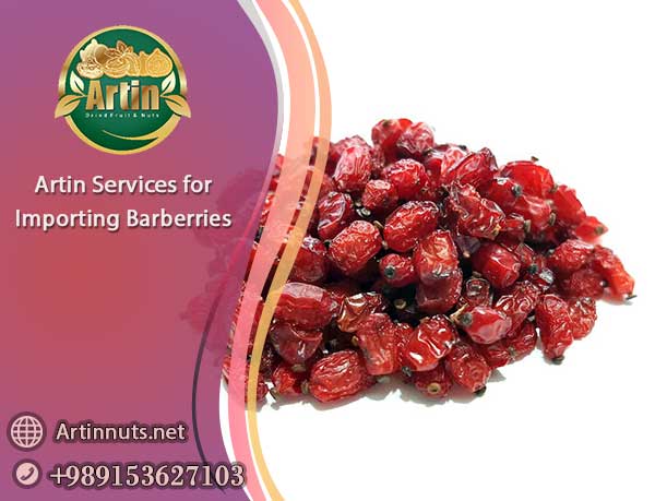 Importing Barberries