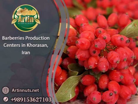 Barberries Production Centers