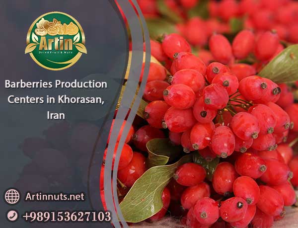 Barberries Production Centers