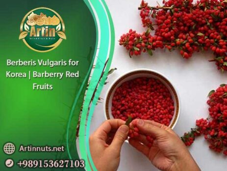 Berberis Vulgaris for Korea