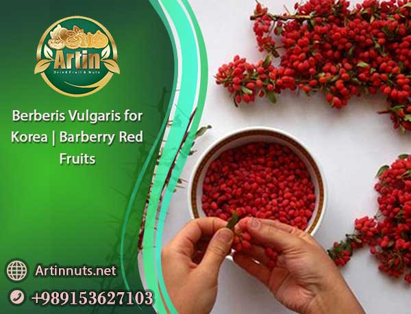Berberis Vulgaris for Korea