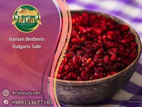 Iranian Berberis Vulgaris Sale