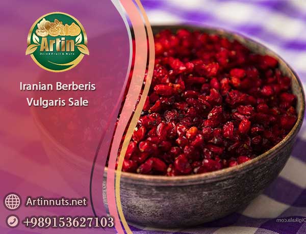 Iranian Berberis Vulgaris Sale
