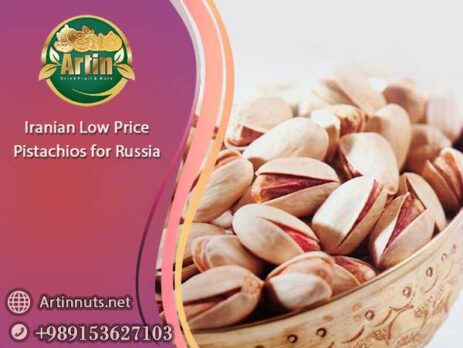 Low Price Pistachios for Russia