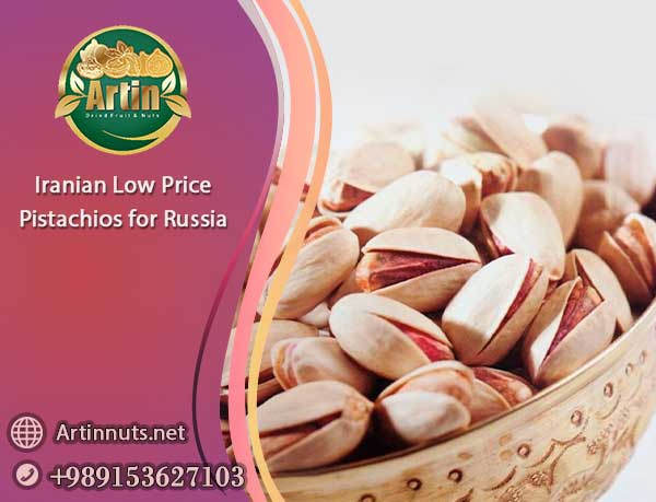 Low Price Pistachios for Russia