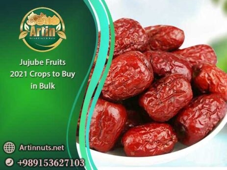 Jujube Fruits 2021 Crops