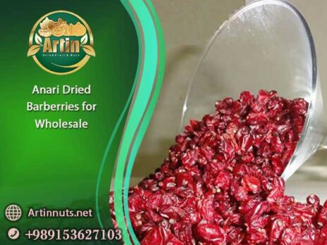 Anari Dried Barberries