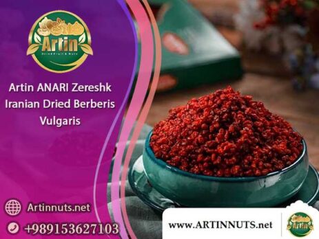 Artin ANARI Zereshk