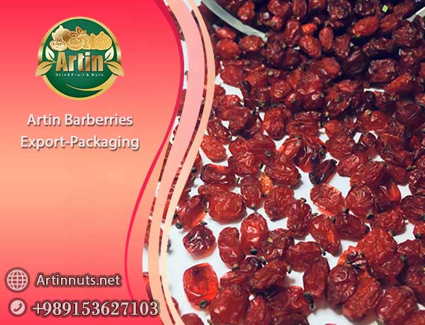 Artin Barberries