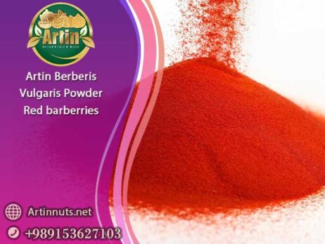 Artin Berberis Vulgaris Powder