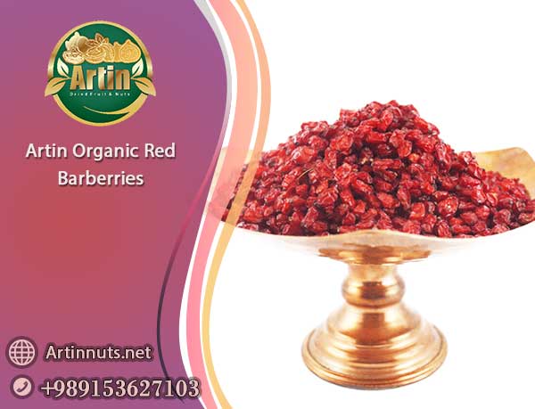 Artin Organic Red Barberries