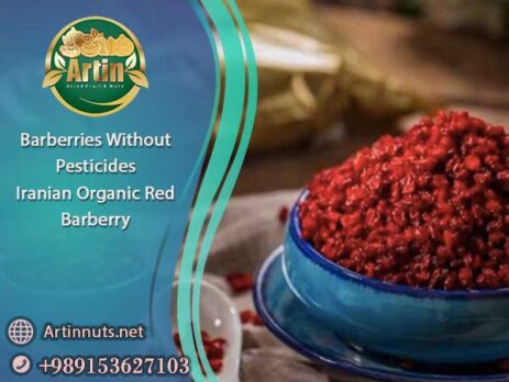 Barberries Without Pesticides