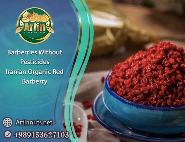 Barberries Without Pesticides