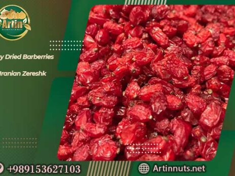 Buy Dried Barberries