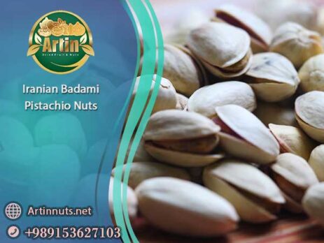 Iranian Badami Pistachio