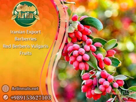Iranian Export Barberries
