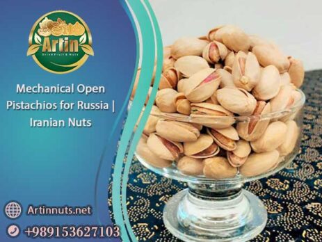 Mechanical Open Pistachios for Russia
