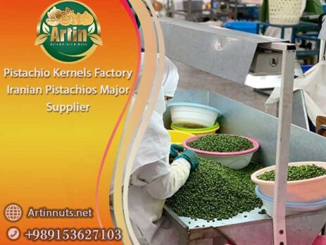 Pistachio Kernels Factory