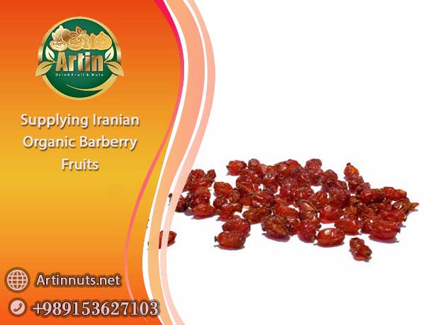 Supplying Iranian Organic Barberry
