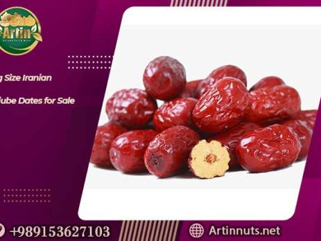 Big Size Iranian Jujube