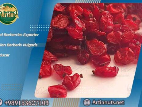 Dried Barberries Exporter