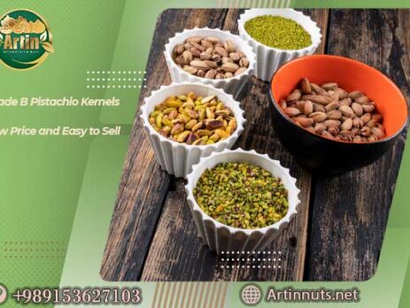 Grade B Pistachio Kernels