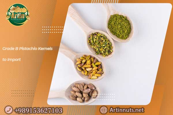 Grade B Pistachio Kernels