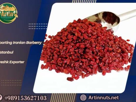 Importing Iranian Barberry to Istanbul