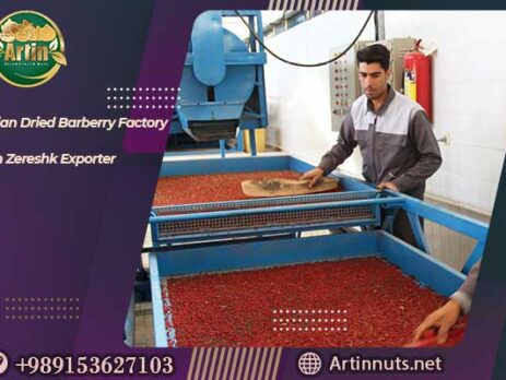 Iranian Dried Barberry Factory