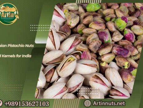 Pistachio Nuts and Kernels for India